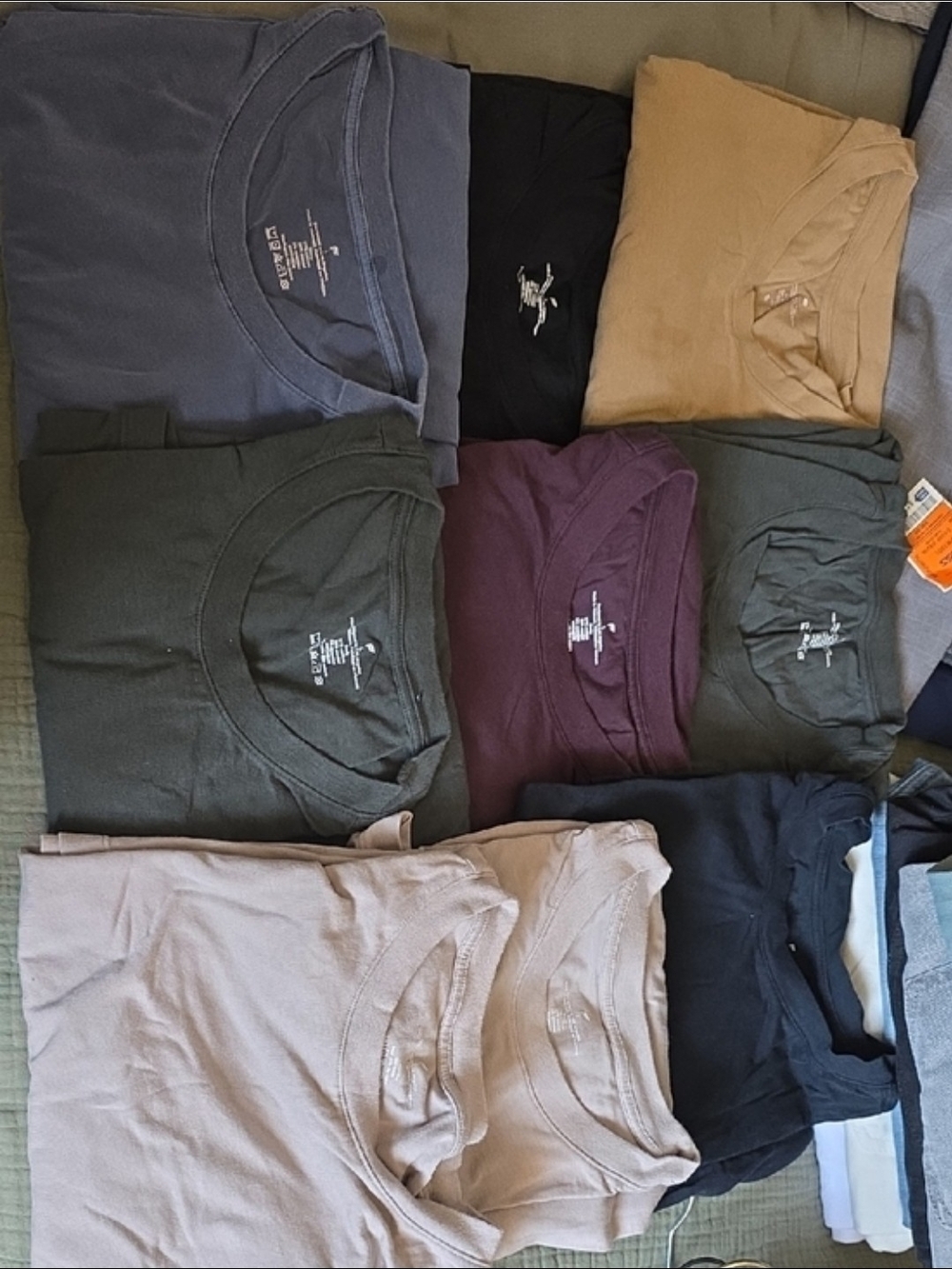 Mixed Crew Neck T-Shirt Lot in Assorted Colors